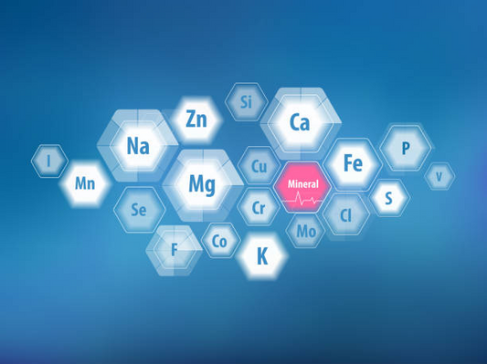 Essential Mineral Elements: Unveiling the Building Blocks of Human Health